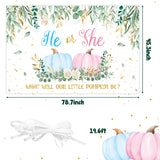 Xtralarge Pumpkin Gender Reveal Backdrop Fall He or She Boy or Girl Pink or Blue Autumn Eucalyptus Leaves Fall Baby Shower Photography Background Decoration