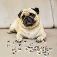 60Pcs Pug Mini Bulk Erasers Dog Theme Party Pencil Top Erasers 6 Style Pug Cartoon Element Pattern Eraser for Classroom Activities Reward Game Prizes School Birthday Party Supplies Gifts