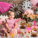 12Pieces Cowgirl Decorations Cowgirl Themed Honeycomb Table Decor Paper My First Rodeo Honeycomb Centerpieces Western Theme Party Decorations Pink Little Cowgirl 1st Birthday Baby Shower Party Table Decoration Supplies